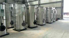 固定式蒸汽锅炉