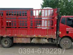 河南天然气锅炉厂家