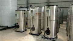 十五吨冷凝导热油炉