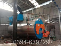 20吨热水专用锅炉