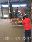 六吨浴池热水锅炉