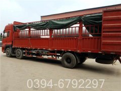 30万大卡养殖热水锅炉