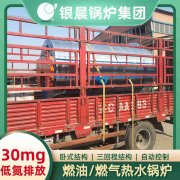 WNS12-1.25-QY冷凝蒸汽锅炉九游j9官方网站