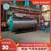 WNS20-1.25-QY燃气蒸汽锅炉九游j9官方网站