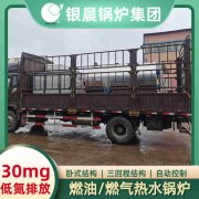 WNS0.5-1.0-QY天然气蒸汽锅炉银晨锅炉客户服务