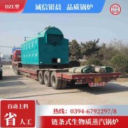 8吨环保蒸汽锅炉九游j9官方网站