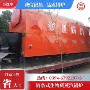 0.7吨节能蒸汽锅炉九游j9官方网站