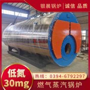 天燃气蒸汽锅炉厂家