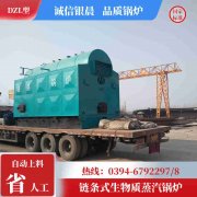 10t燃气热水锅炉