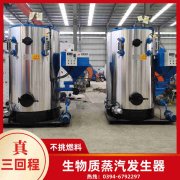 4吨燃煤蒸汽锅炉