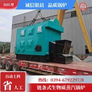 立式浴暖专用锅炉