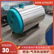 立式生物质锅炉