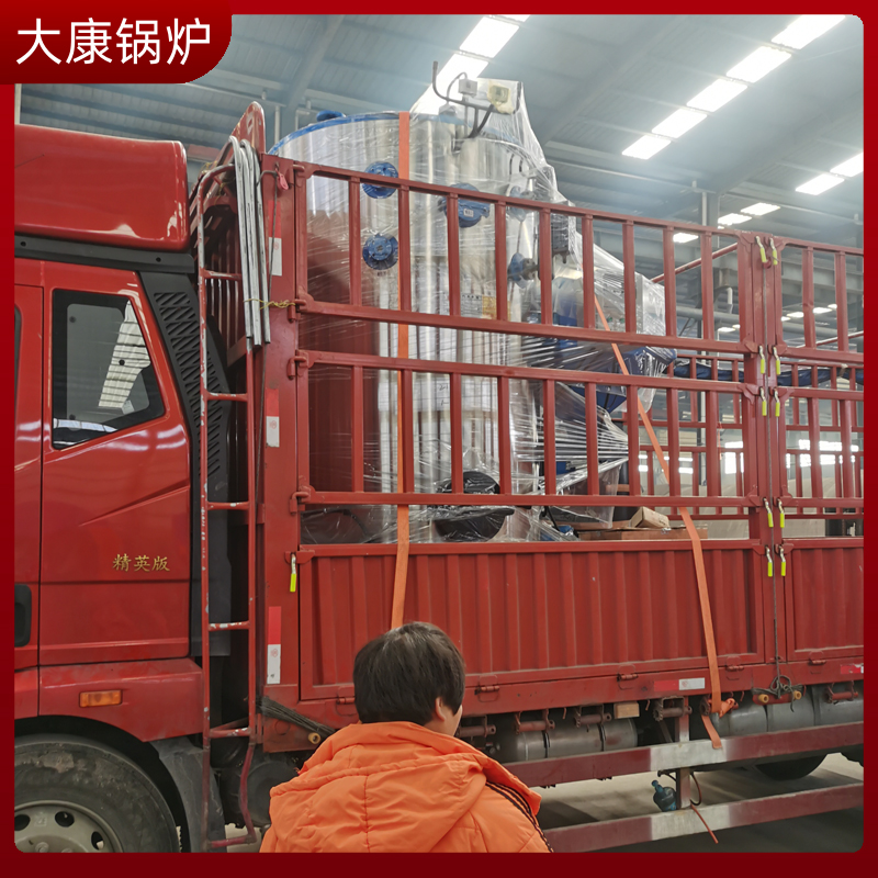 成型生物质锅炉