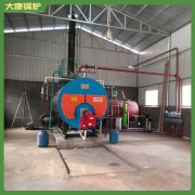 黑龙江12t低氮锅炉